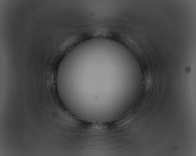 X0000091520619200708311250