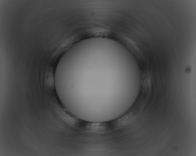 X0000091520622200708311250