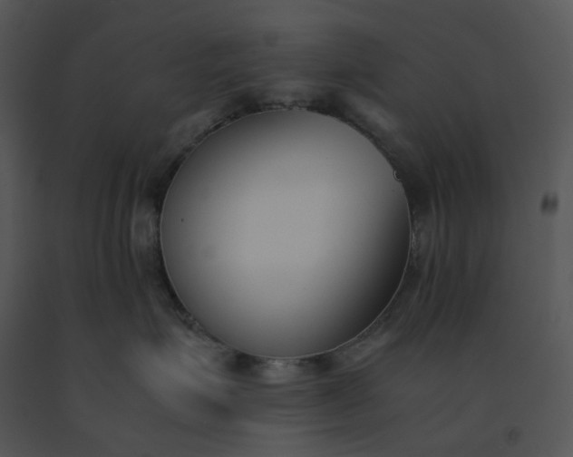 X0000091520623200708311250