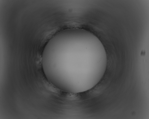 X0000091520624200708311250