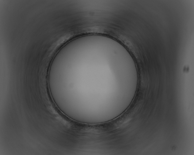 X0000091520625200708311249