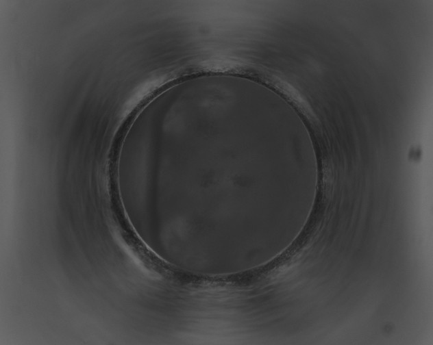 X0000091520626200708311249