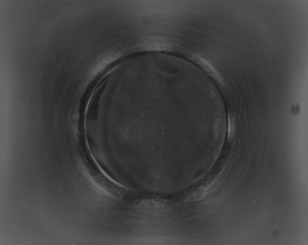 X0000091520627200708311249