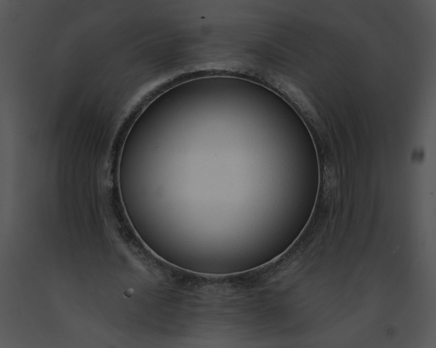 X0000091520628200708311249