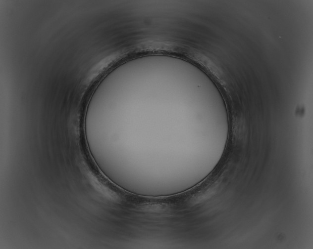 X0000091520629200708311249