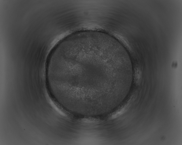 X0000091520630200708311249