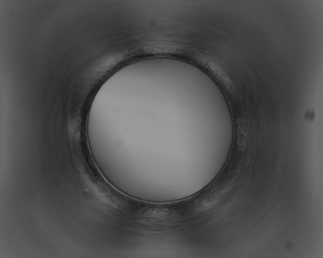 X0000091520631200708311249