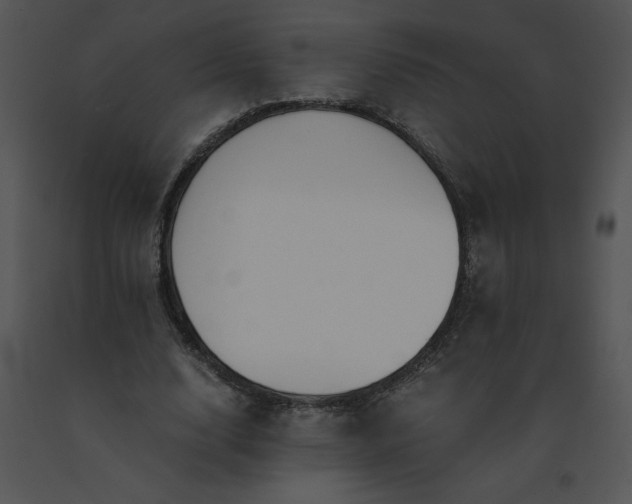 X0000091520632200708311249