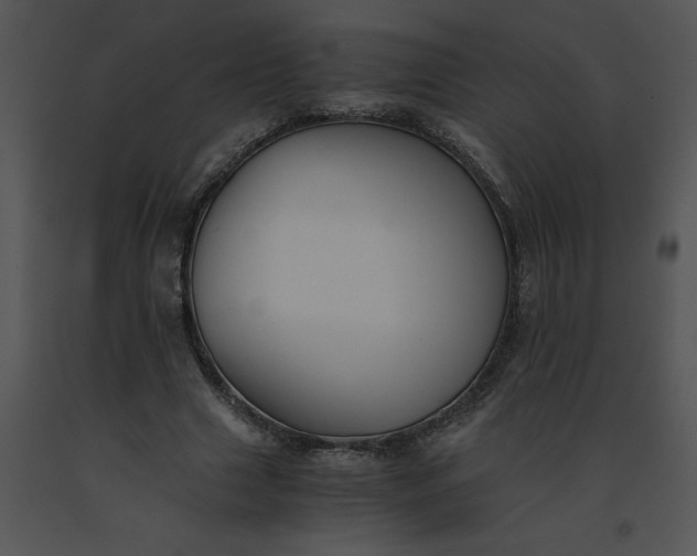 X0000091520633200708311249