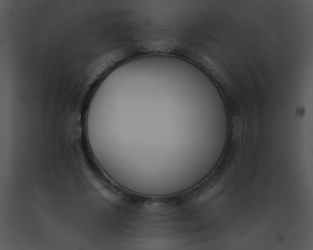 X0000091520634200708311249