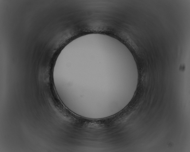 X0000091520635200708311249