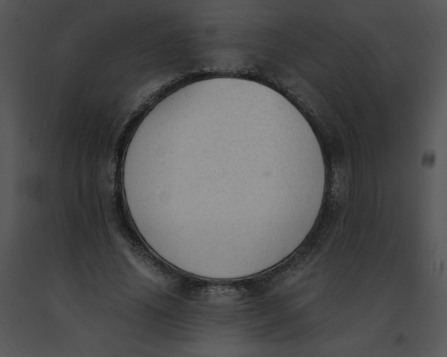 X0000091520636200708311249