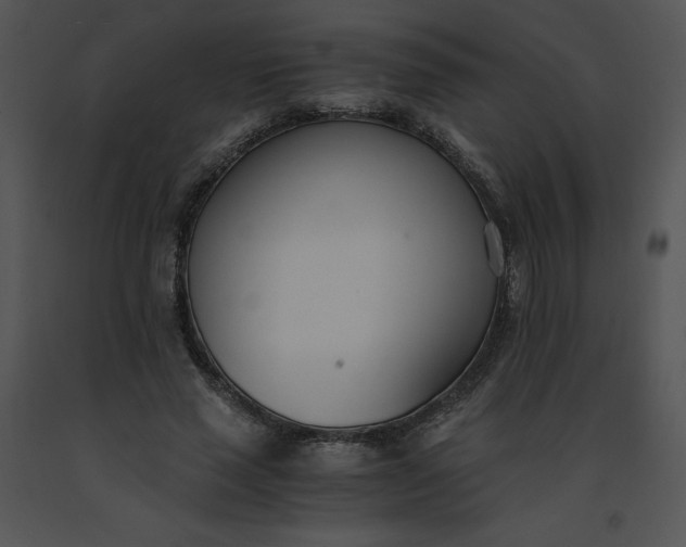 X0000091520637200708311249