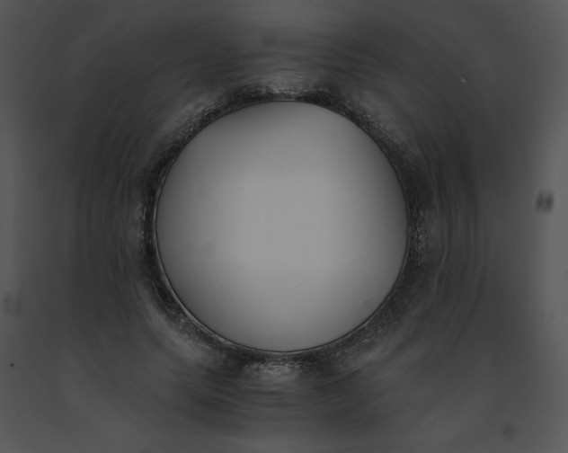 X0000091520639200708311249