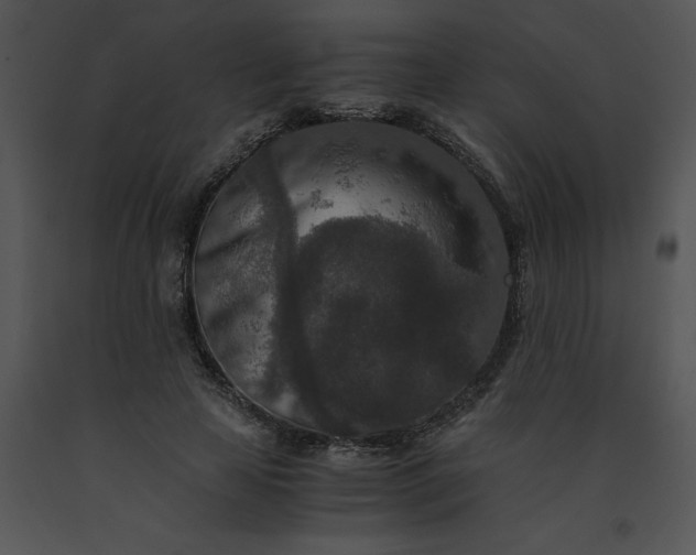 X0000091520641200708311249