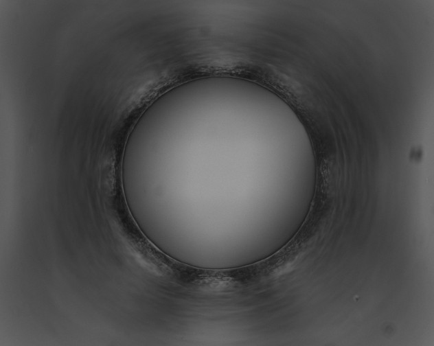 X0000091520642200708311249