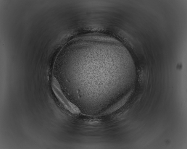 X0000091520643200708311249