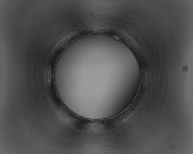 X0000091520644200708311249