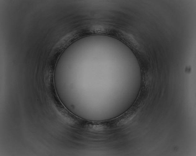 X0000091520645200708311249