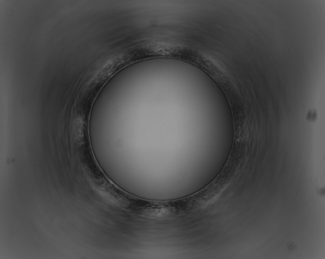 X0000091520646200708311249