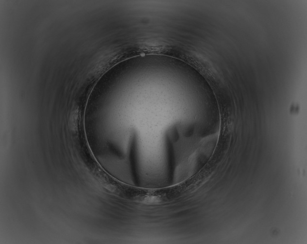 X0000091520647200708311249