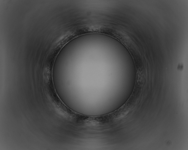 X0000091520648200708311250