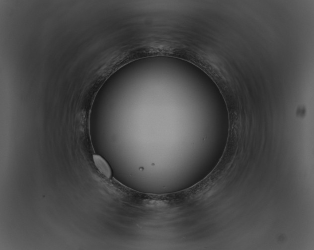 X0000091520649200708311250