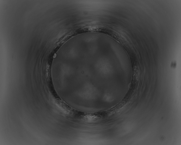 X0000091520650200708311250