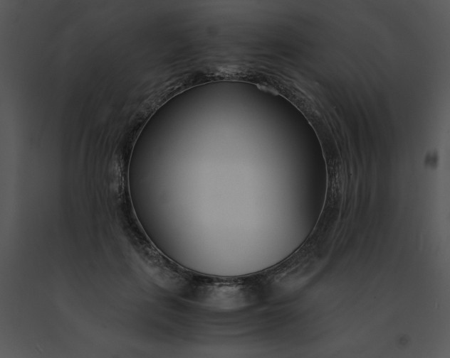 X0000091520651200708311250