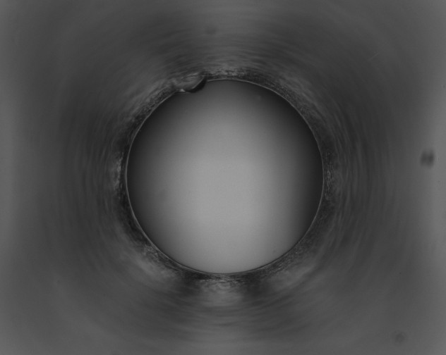 X0000091520652200708311250