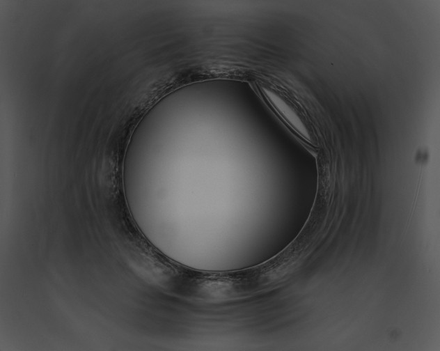 X0000091520653200708311250