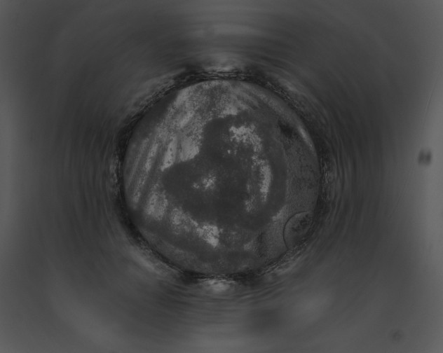 X0000091520654200708311250