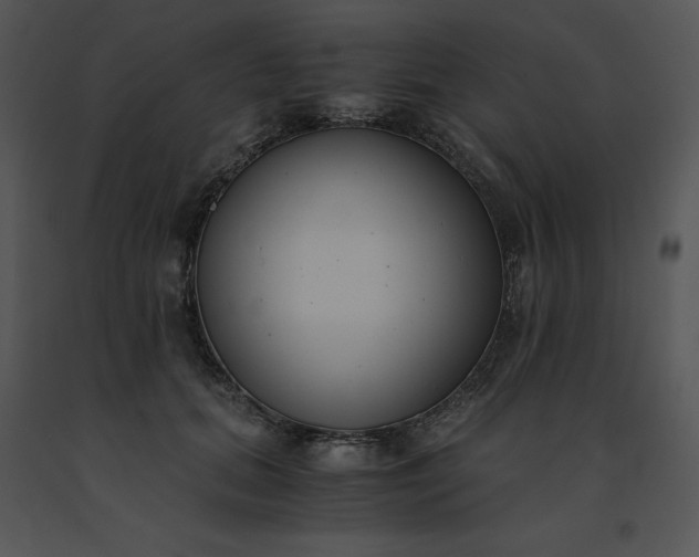 X0000091520655200708311250