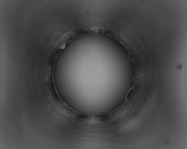 X0000091520656200708311250