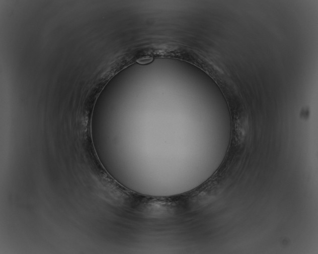 X0000091520657200708311250