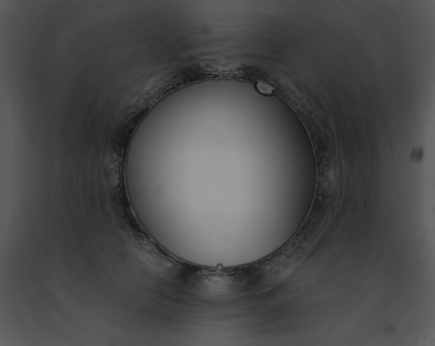 X0000091520658200708311250