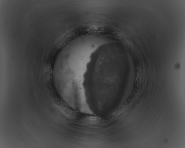 X0000091520659200708311250