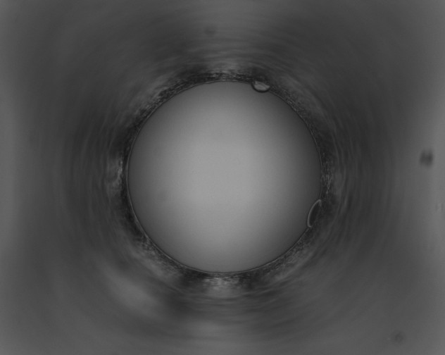 X0000091520660200708311250