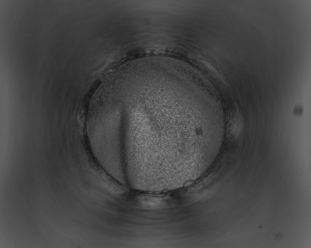 X0000091520661200708311250