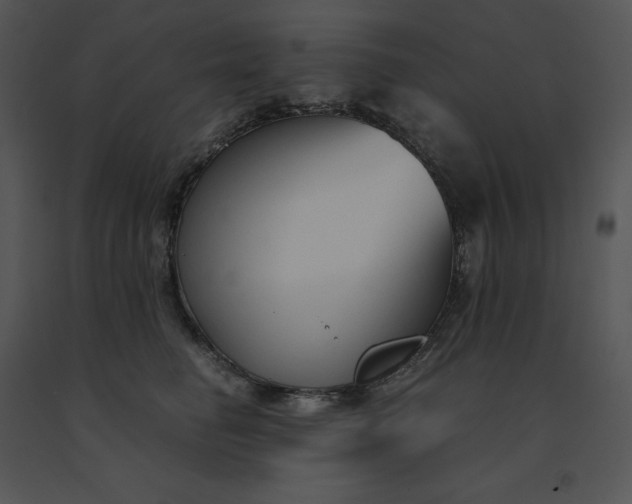 X0000091520662200708311250