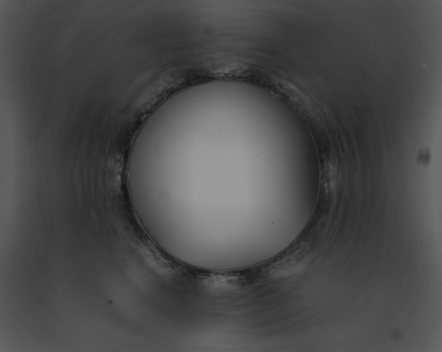 X0000091520664200708311250