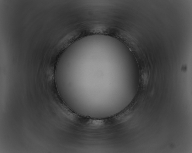 X0000091520665200708311250