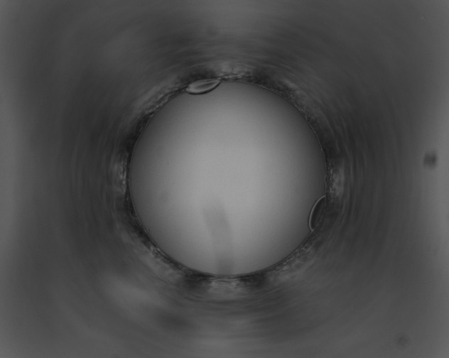 X0000091520666200708311250