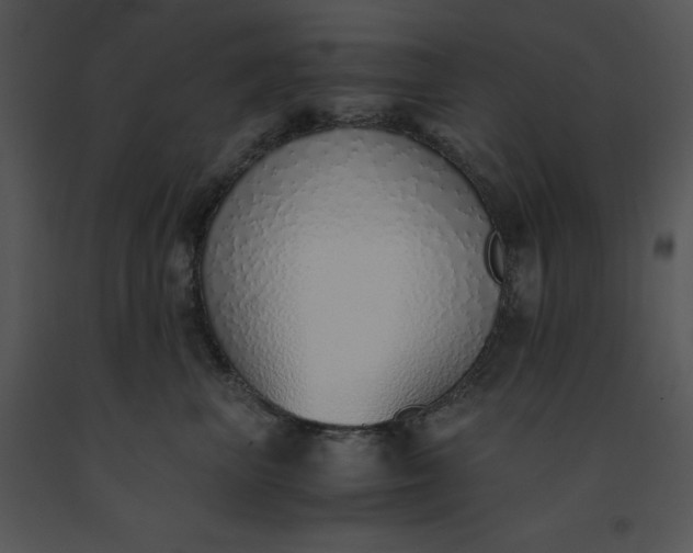 X0000091520667200708311250