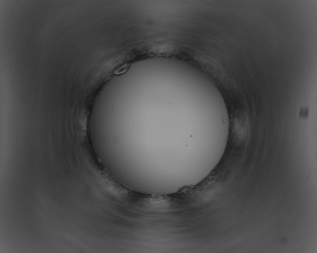 X0000091520668200708311250