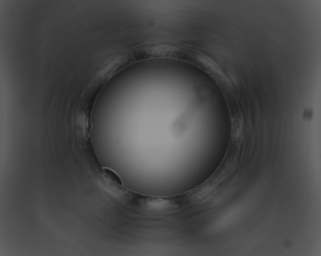 X0000091520669200708311250