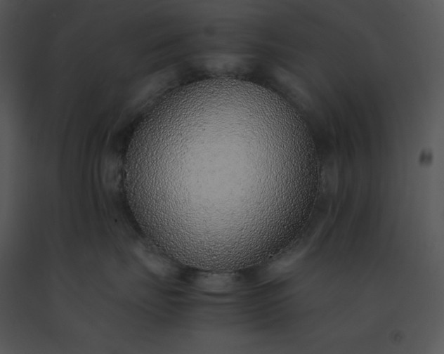 X0000091520671200708311250