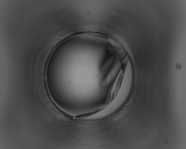 X0000091520673200708311249