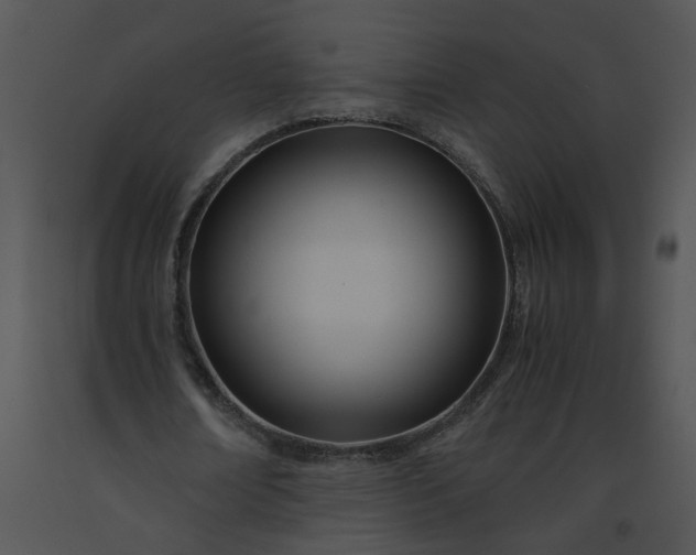 X0000091520674200708311249