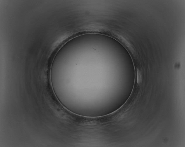 X0000091520675200708311249